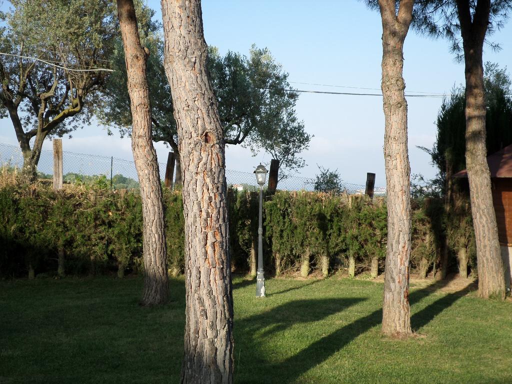 Bed&Breakfast Villa Algi Corropoli Esterno foto